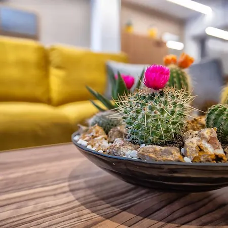 New Loft Cabel & Parking Incluido *