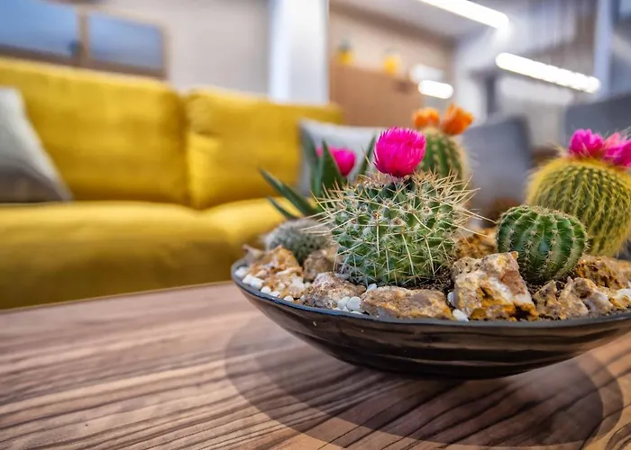 New Loft Cabel & Parking Incluido *